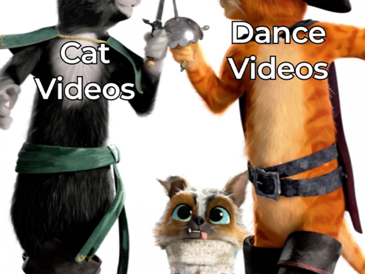 The Fierce Feline Joins TikTok (4) Thumbnail